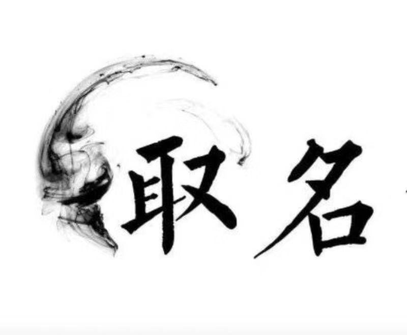  禹会宝宝取名 大师一对一人工起名