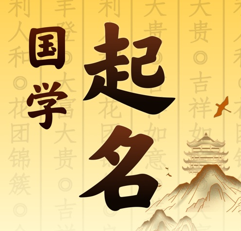 禹会国学起名 人工起名一对一